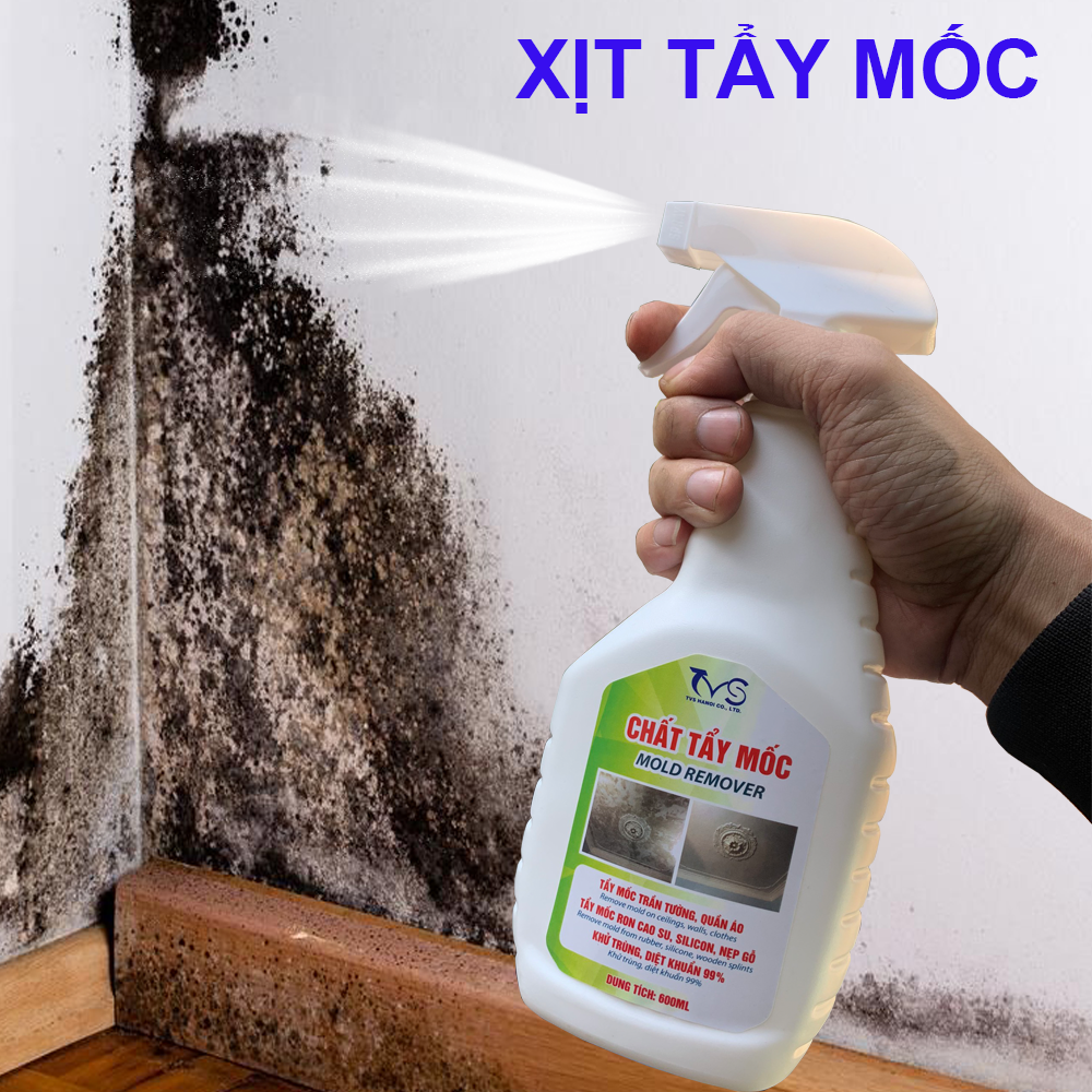 xit_tay_moc_-_tvs